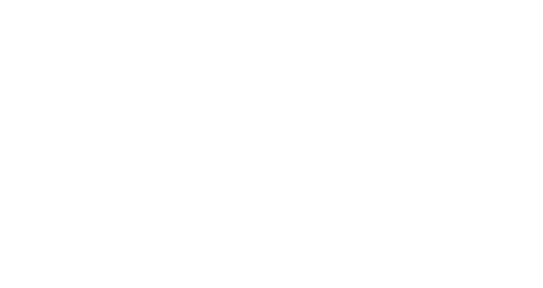 logo---boot